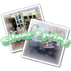 Silver Spring Plumbers, Silver Spring Plumbing, Plumbers Silver Spring MD, Plumbing Silver Spring MD